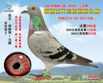 新疆飞天决赛200名