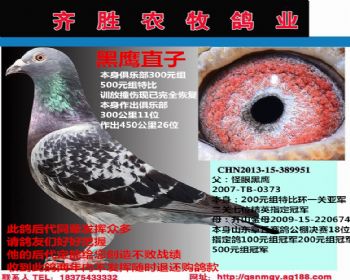 黑鹰直子