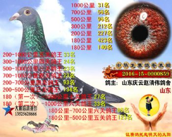 1000公里31名
