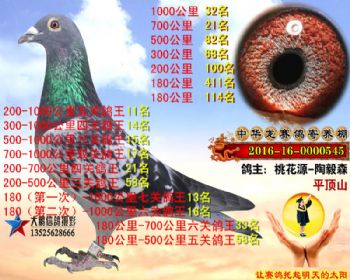 1000公里32名