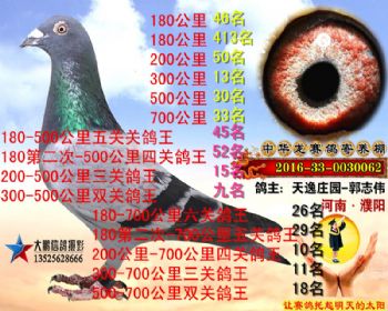 700公里33名
