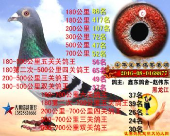 700公里52名