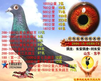 1000公里7名