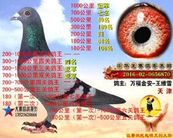 1000公里冠军