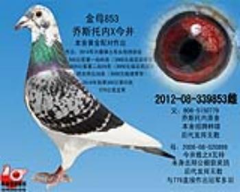 570公里亚军之母