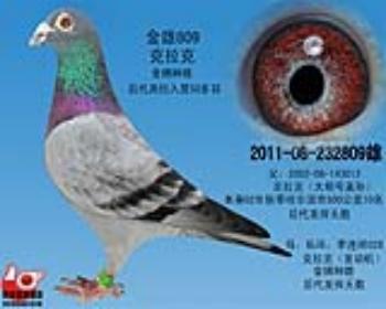 金牌种雄