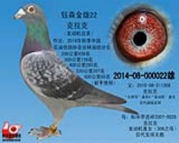 金牌种雄