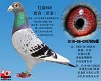三关特比39名