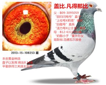 盖比"闪电号直孙""奶酪外孙"