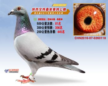 陕西宝鸡鑫昊赛鸽公棚决赛81名