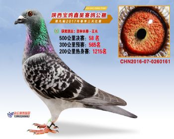 陕西宝鸡鑫昊公棚三关决赛58名
