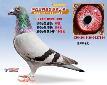 陕西宝鸡鑫昊公棚三关决赛78名