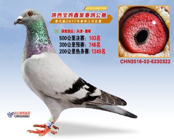 陕西宝鸡鑫昊公棚三关决赛103名