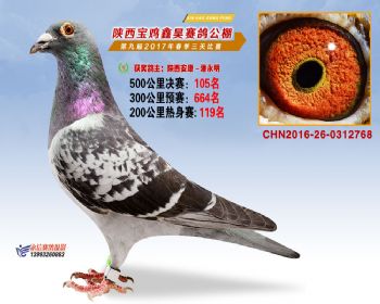 陕西宝鸡鑫昊公棚三关决赛105名