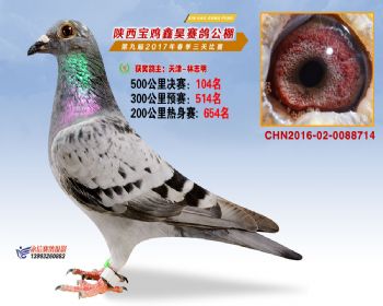 陕西宝鸡鑫昊公棚三关决赛104名