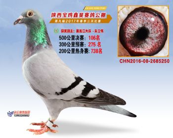 陕西宝鸡鑫昊公棚三关决赛106名