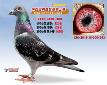 陕西宝鸡鑫昊公棚三关决赛128名
