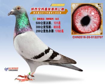 陕西宝鸡鑫昊公棚三关决赛131名