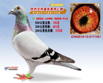 陕西宝鸡鑫昊公棚三关决赛135名