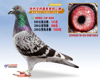 陕西宝鸡鑫昊公棚三关决赛141名