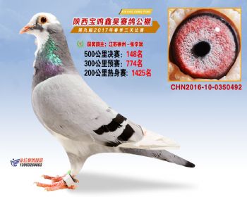 陕西宝鸡鑫昊公棚三关决赛148名