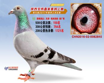 陕西宝鸡鑫昊公棚三关决赛150名