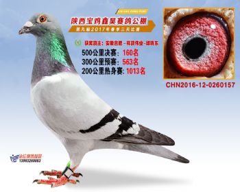 陕西宝鸡鑫昊公棚三关决赛160名