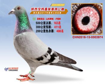 陕西宝鸡鑫昊公棚三关决赛163名