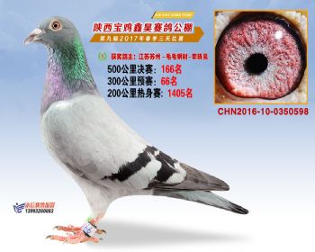 陕西宝鸡鑫昊公棚三关决赛166名