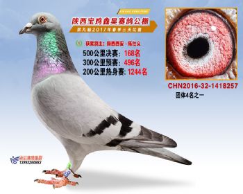 陕西宝鸡鑫昊公棚三关决赛168名