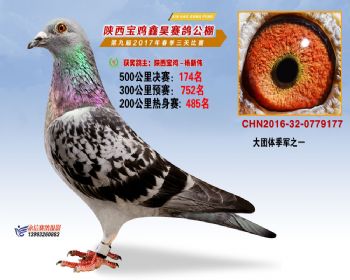 陕西宝鸡鑫昊公棚三关决赛174名