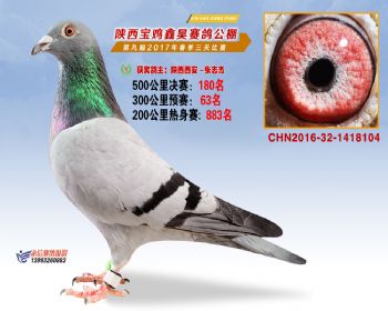 陕西宝鸡鑫昊公棚三关决赛180名