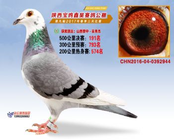 陕西宝鸡鑫昊公棚三关决赛191名