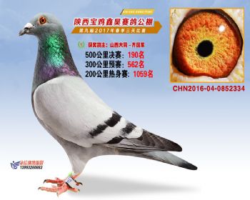 陕西宝鸡鑫昊公棚三关决赛190名