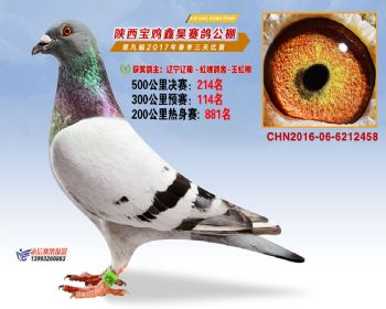 陕西宝鸡鑫昊公棚三关决赛214名
