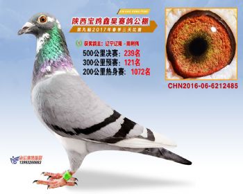 陕西宝鸡鑫昊公棚三关决赛239名