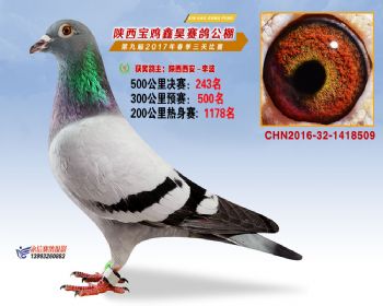 陕西宝鸡鑫昊公棚三关决赛243名