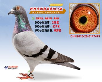 陕西宝鸡鑫昊公棚三关决赛248名