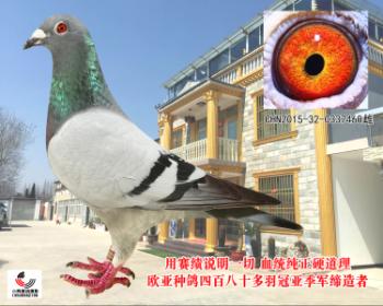 盖比原舍闪电号直子X直女近亲高背份