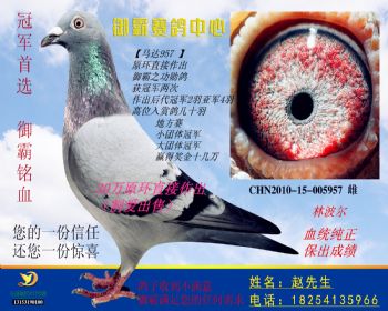 CHN201015005957雌