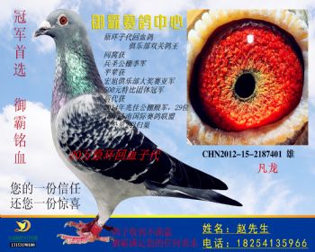 CHN2012152187401雄