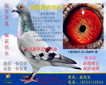 CHN201315254070雌