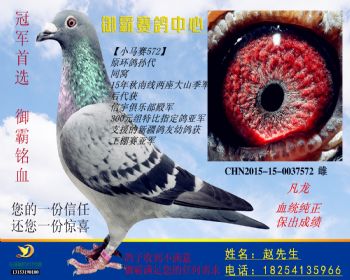 CHN2015150037572雌
