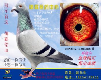 CHN2016150072848雌