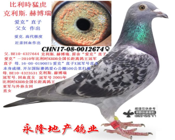 赫博瑞.“爱克”直子父女作出