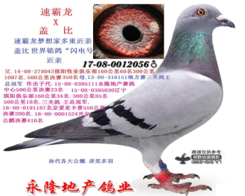 速霸龙.X盖比.凡德纳比