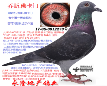 乔斯.佛卡门XBOB公棚5名