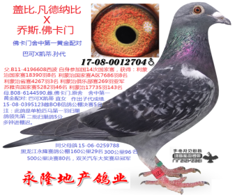 盖比.凡德纳比X佛卡门巴可凯蒂直女