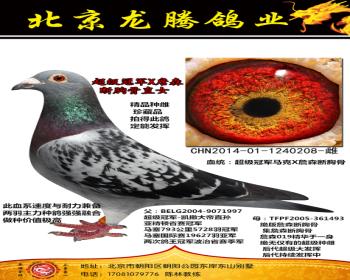 众友信鸽传媒