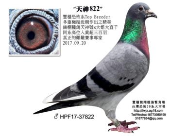 天神822